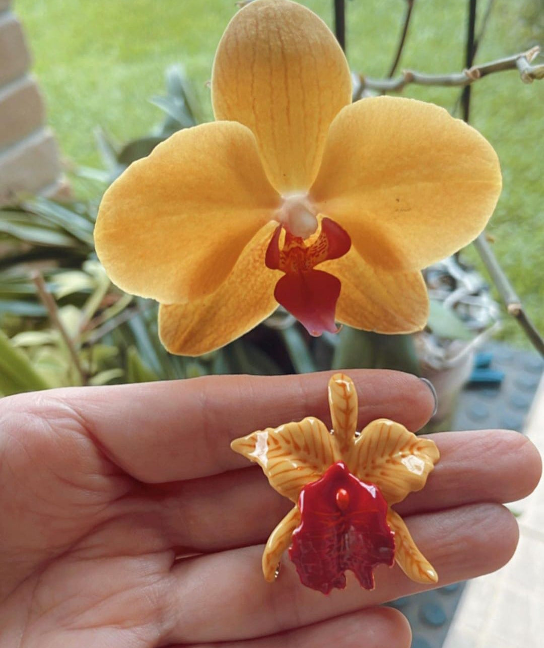 Brinco Orquídea Colors