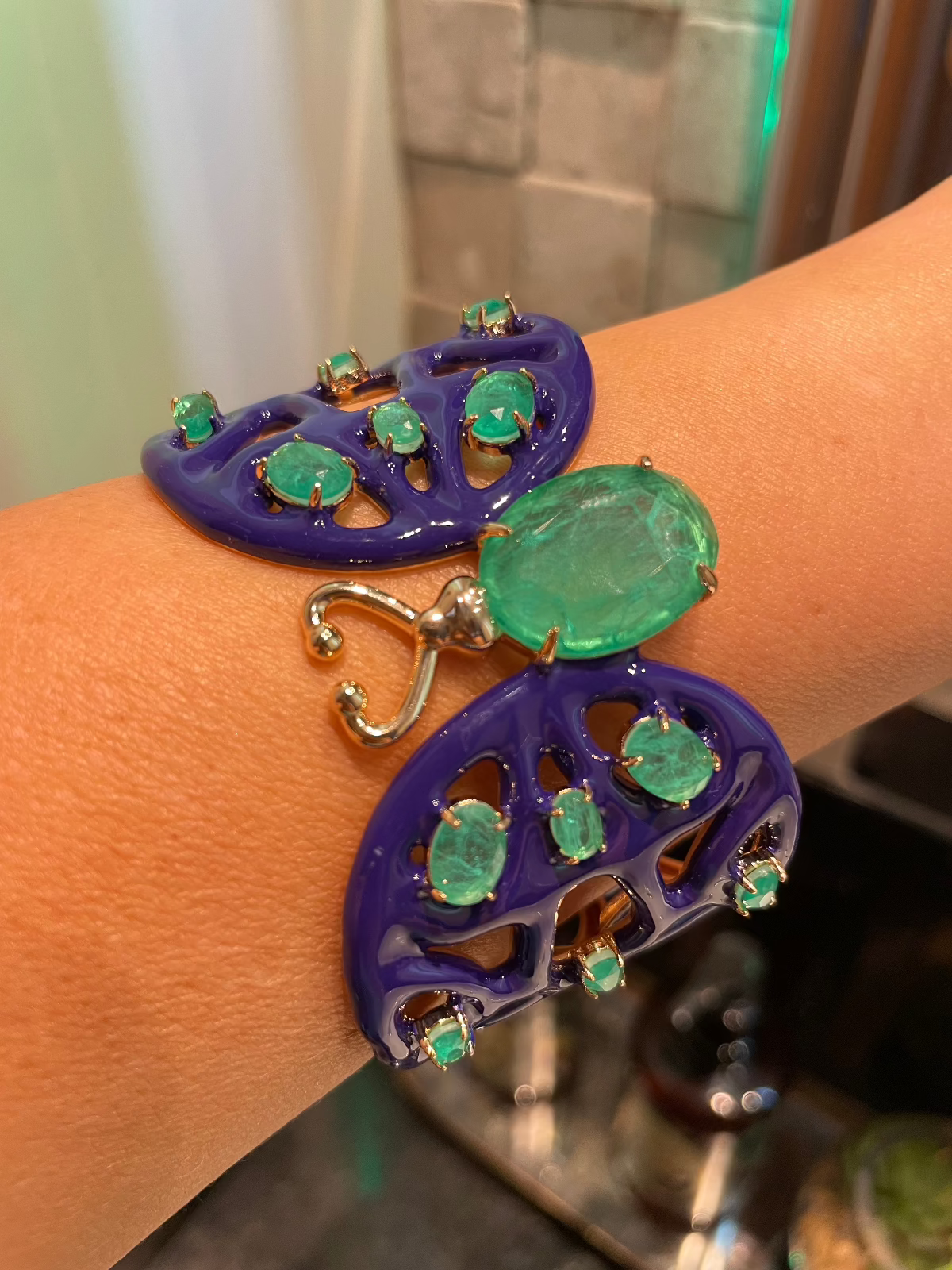 Pulsera de insectos esmaltados