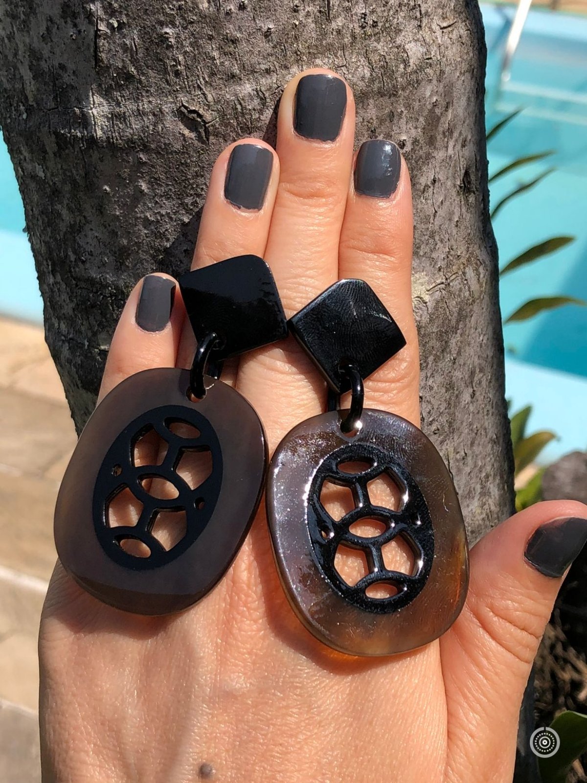 Horn Colors Earring